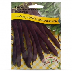 Image-product